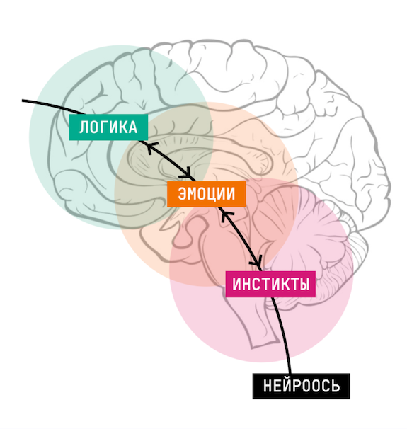 [Катерина Ленгольд] Новая орбита. Обновленный нейр_0.png